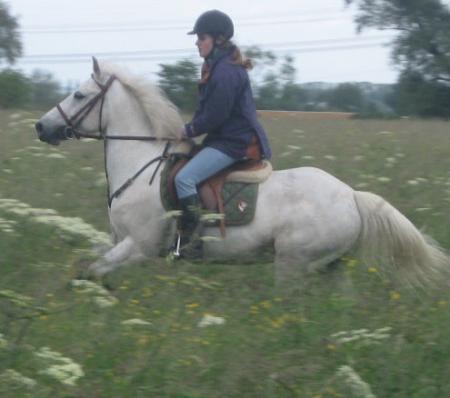 Poney et Moi