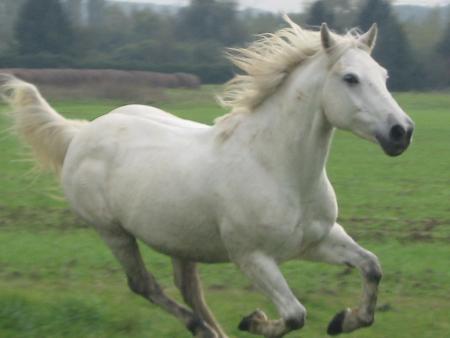 Magnifique!!!